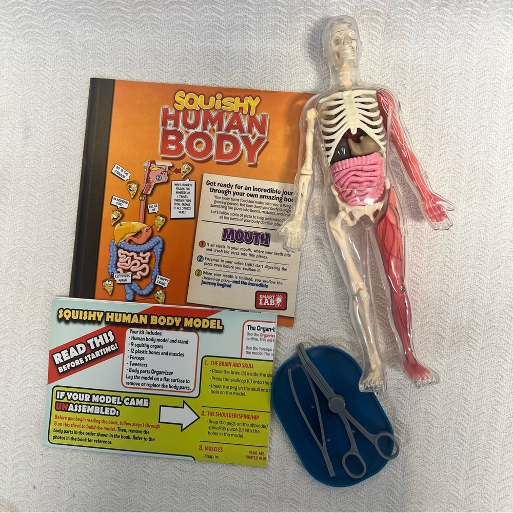 smart lab / squishy human body model kit with booklet and tools
